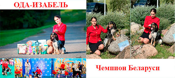 наши в Минске