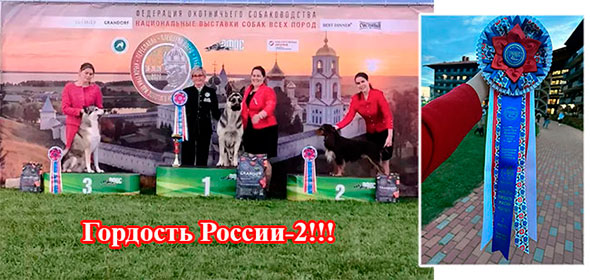 Переславль НАШ!